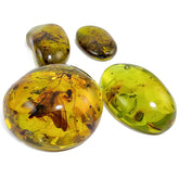 Green Amber Free Shape Cabochons With Insects